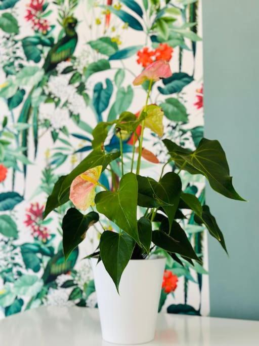 Le Jardin Secret - Jardin/Loire Apartment Tours Luaran gambar